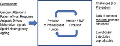 Co-evolution of Immune Response in Multiple Myeloma: Implications for Immune Prevention